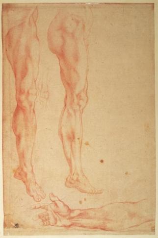Michelangelo Buonarroti -Studio di gambe e braccia