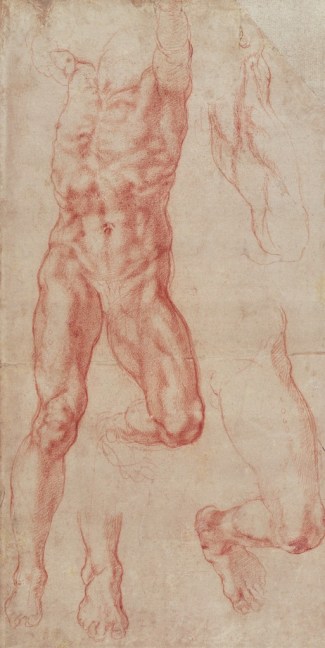 Michelangelo Buonarroti -Studio di un uomo nudo che si estende verso l'alto