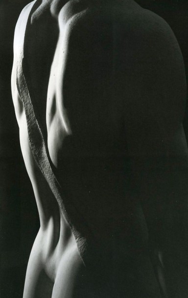 SchienaDavidMichelangelo2001