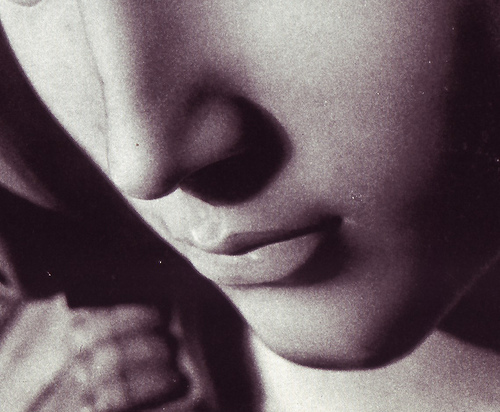 2628961102_dec09843d3