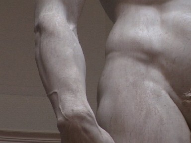 michelangelo_david_dettaglio_vene