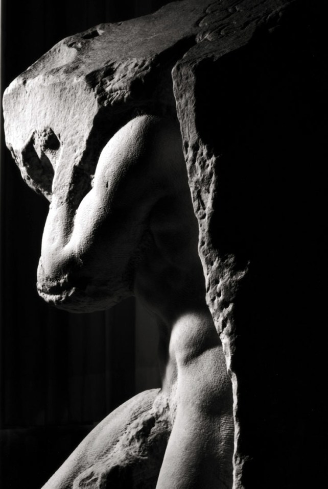 amendola-photos-michelangelo-prisoner