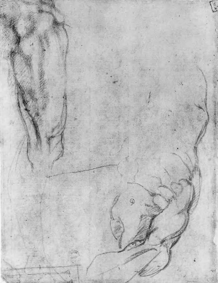 Michelangelo Buonarroti - sezione di una figura