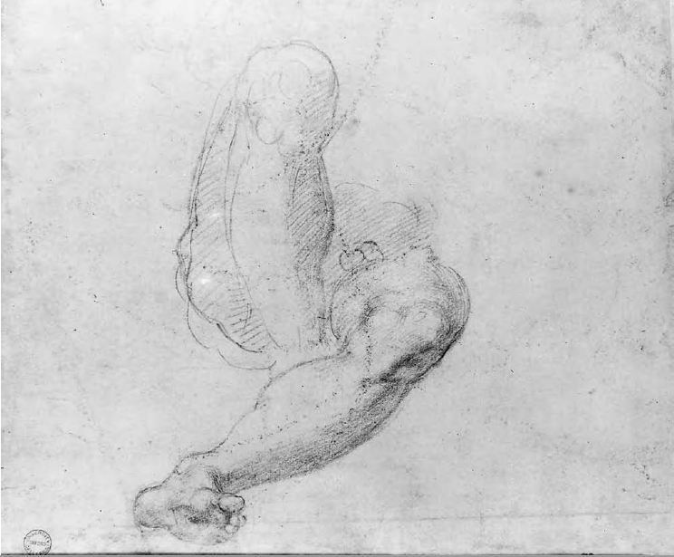 Michelangelo Buonarroti - Studi di gambe