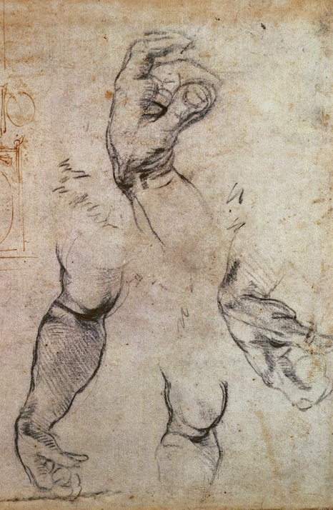 Michelangelo Buonarroti - Studi di mani