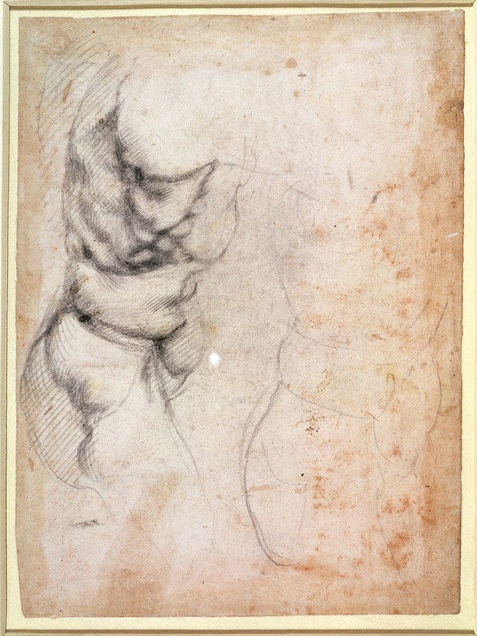Michelangelo Buonarroti -Studio di torso e natica