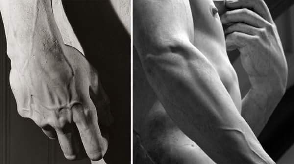 11899791_541777029305815_7662311731512405486_n