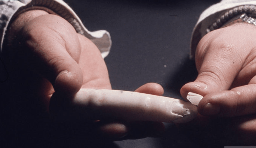 Il restauro della Pietà&nbsp;Vaticana