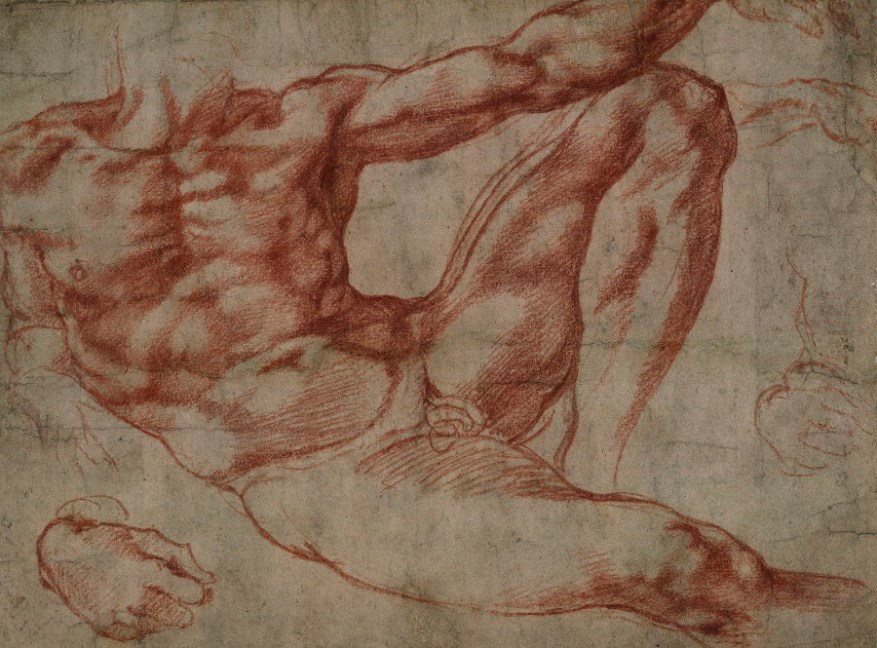 michelangelo3_med.jpg