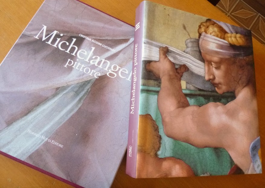 Michelangelo Pittore della Acidini: la&nbsp;recensione