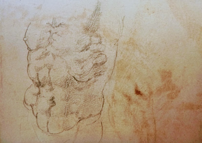 Studi di una gamba e di un torso sullo stesso&nbsp;foglio