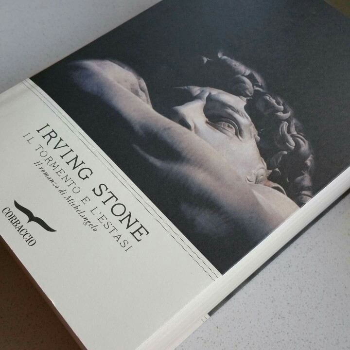 Il Tormento e l’Estasi: il&nbsp;libro