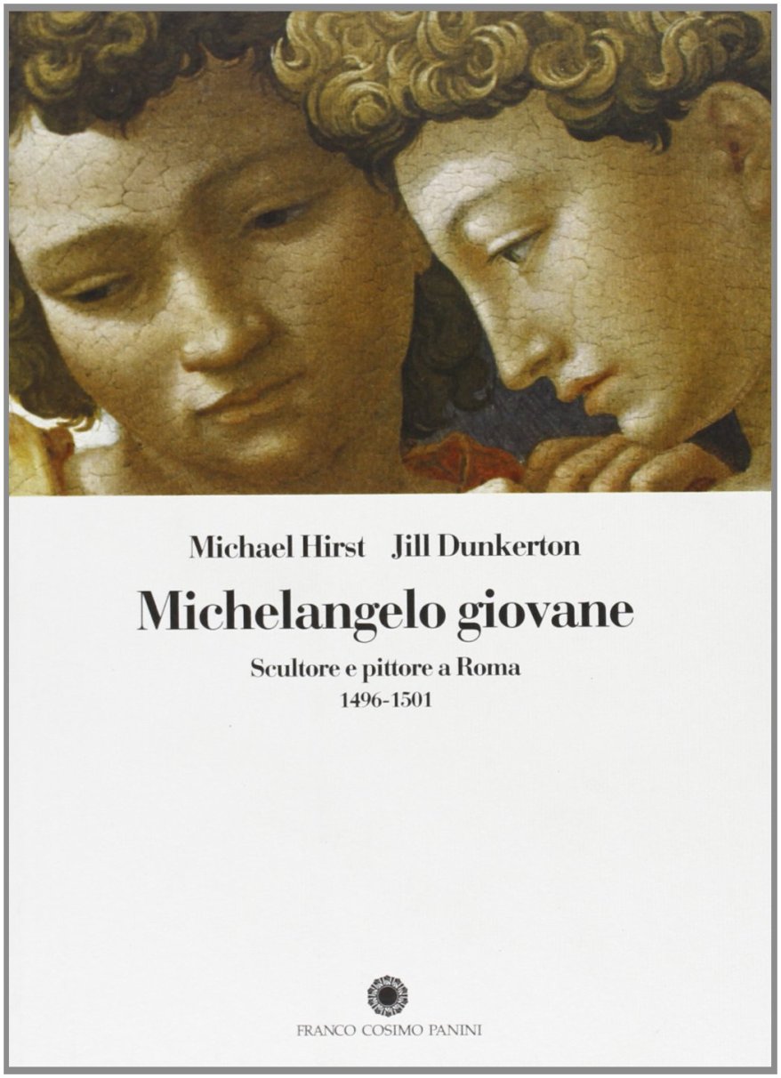 Michelangelo giovane: il&nbsp;libro
