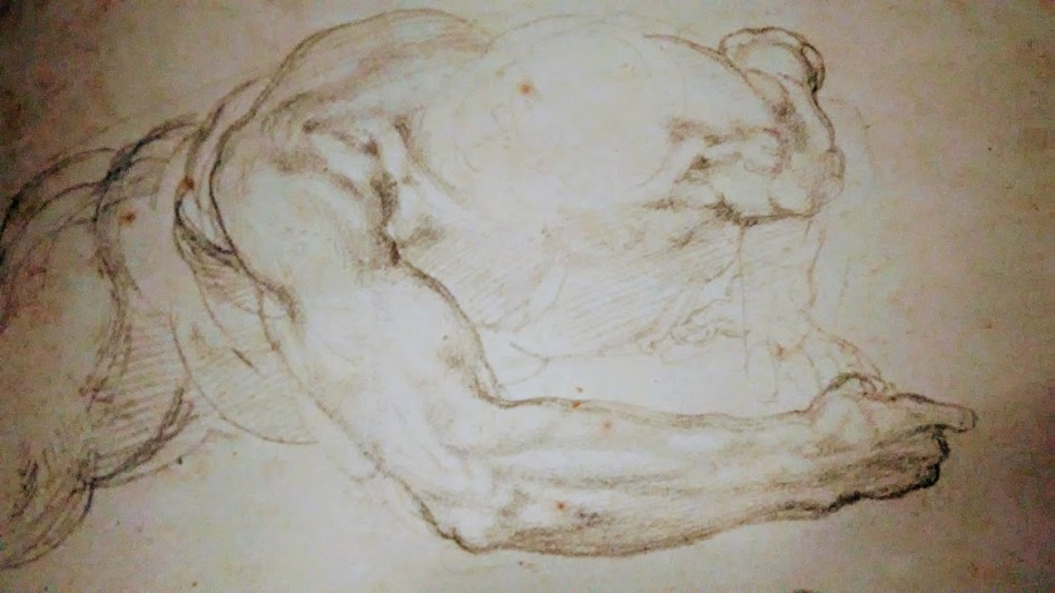 Ashmolean museum.jpg