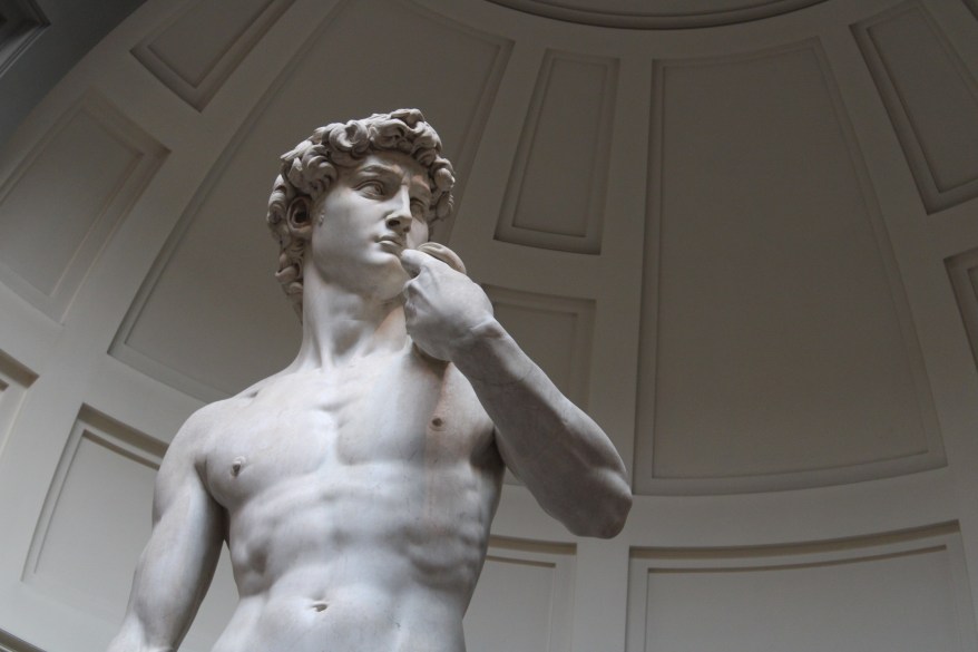 Mai volli imparare il&nbsp;latino