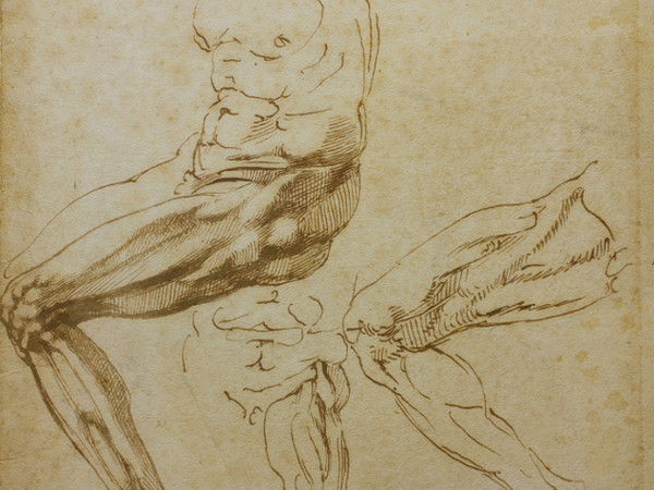 Nuova mostra: a Torino i miei&nbsp;disegni