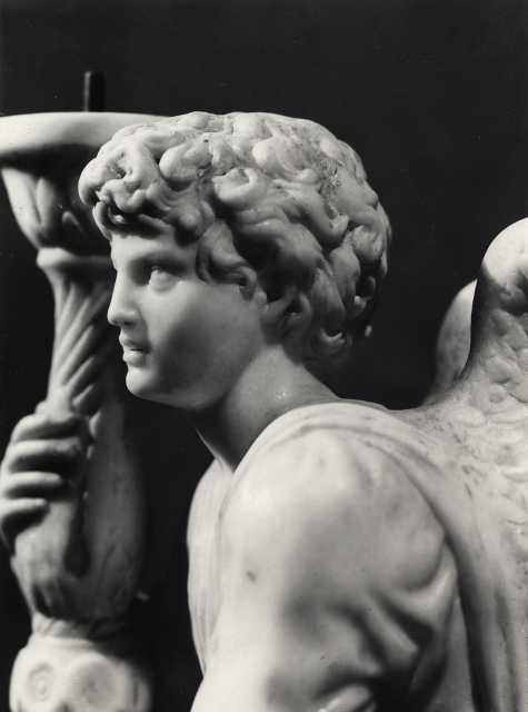 Io e l’Aldovrandi a Bologna: un incontro&nbsp;casuale?