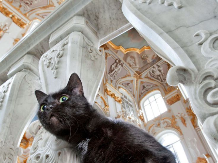 Visita virtuale dell’Hermitage Museum di San&nbsp;Pietroburgo