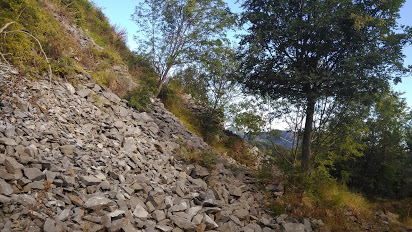 Il montar cresce, e ‘l mie valore&nbsp;scema