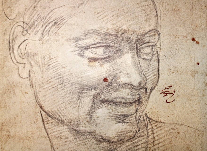 Due studi per un ignudo della&nbsp;Sistina