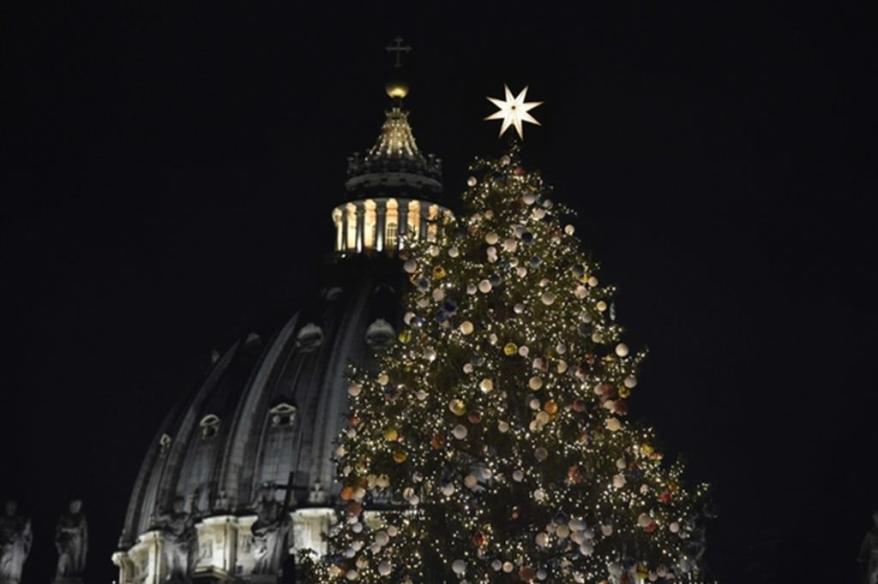 L’albero e il presepe 2020 a San Pietro