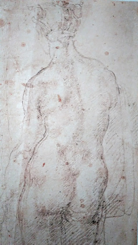 Il nudo di donna visto di schiena