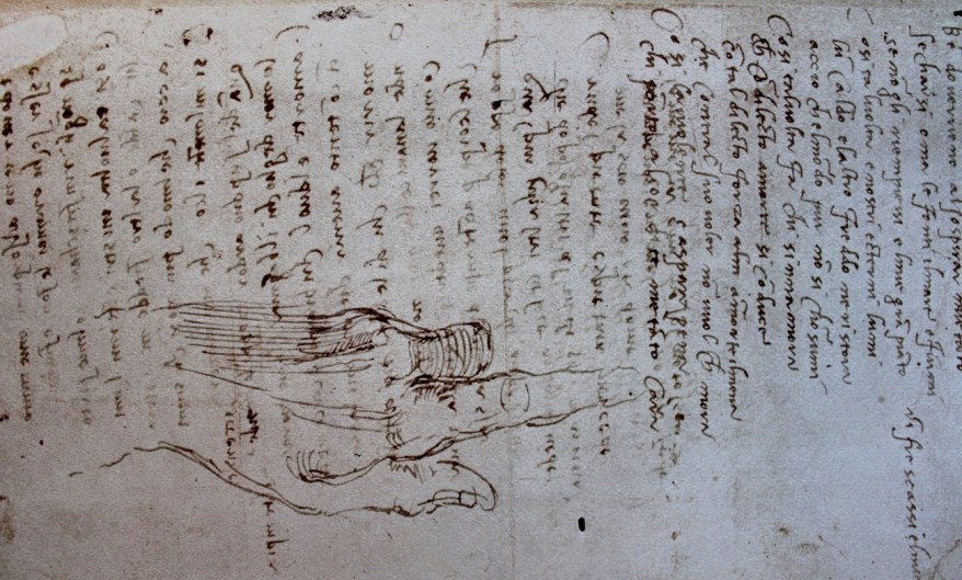 La mano fra i&nbsp;versi