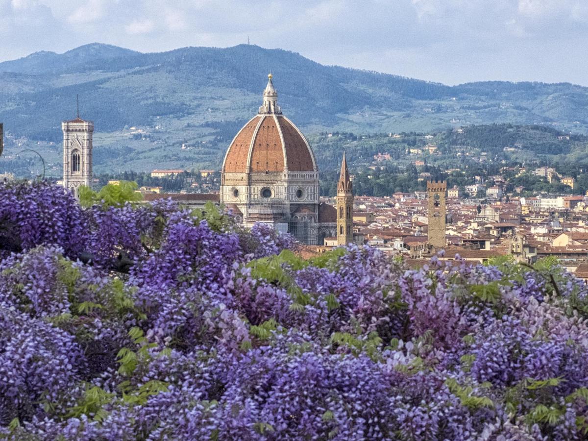 Sotto un cielo di glicine: la magia di Villa&nbsp;Bardini