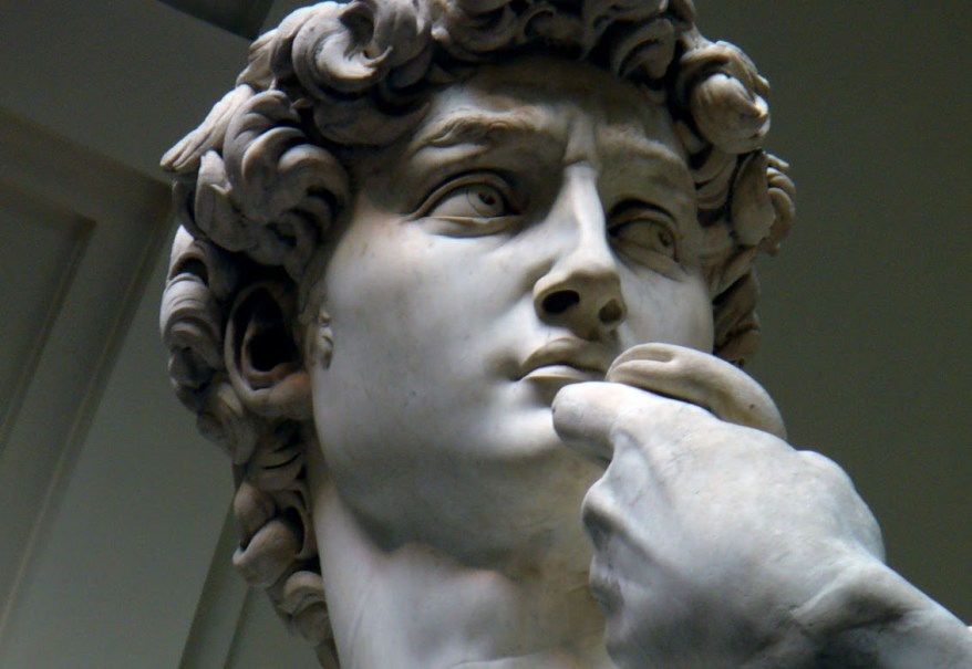 Il naso del&nbsp;David