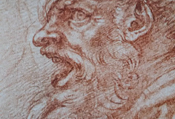 L’autoritratto irato