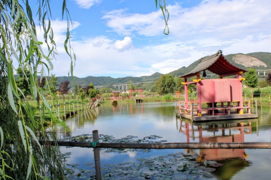 La Via delle Erbe e dei Fiori