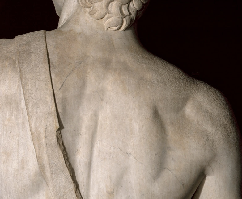 Manca un muscolo nel mio&nbsp;David?