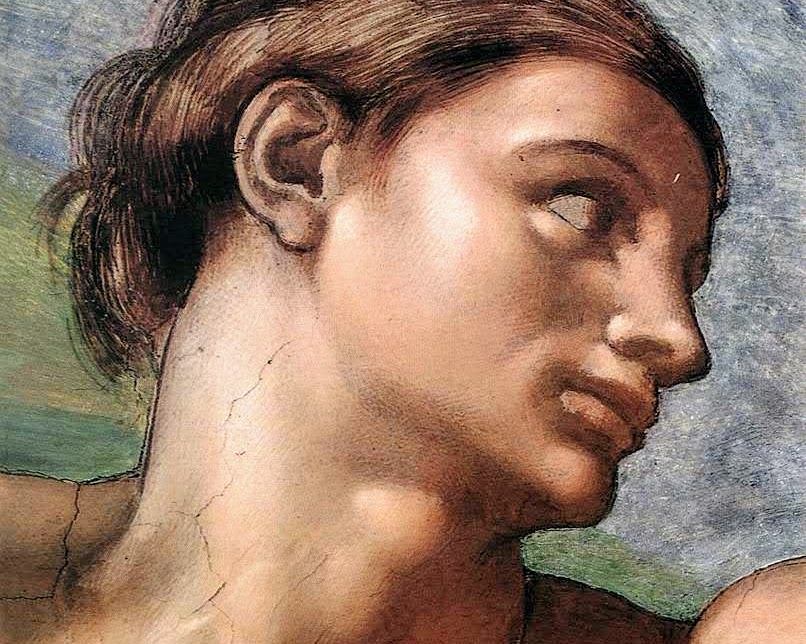 Adamo visto del Vasari