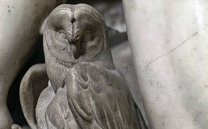 Il barbagianni della Notte