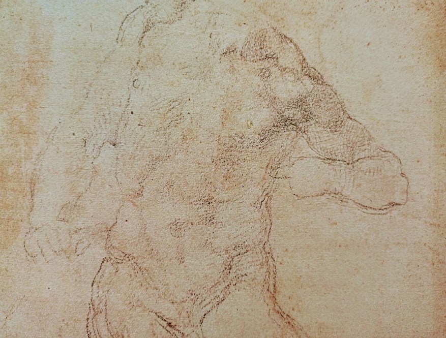 Uno studio per due opere diverse