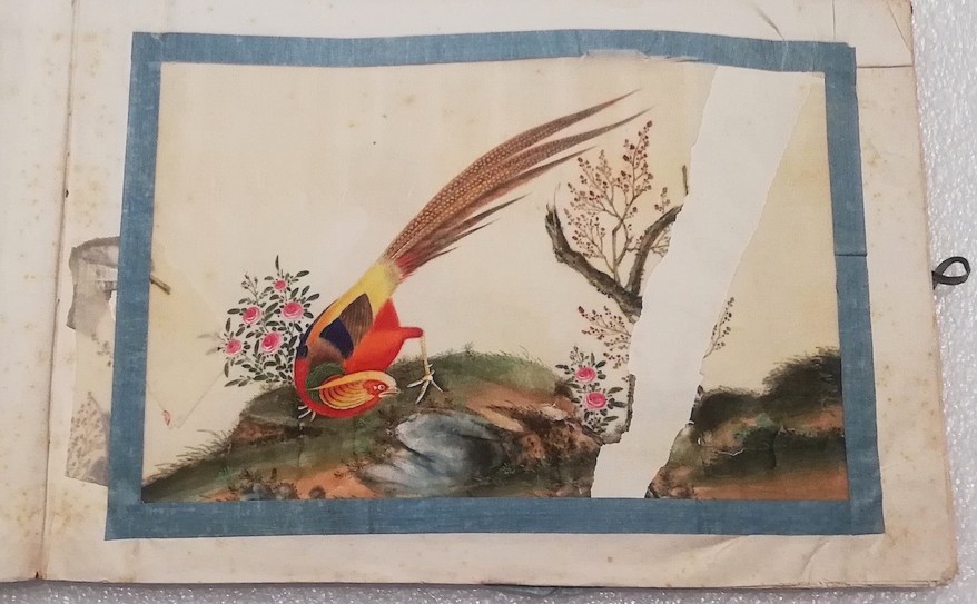 Premio Friends of Florence 2022: assegnato a Nathalie Ravanel per restaurare 119 dipinti