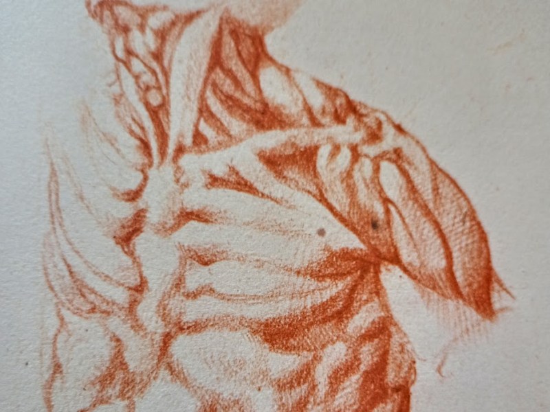 Il corpo umano: ecco perché lo studiavo così&nbsp;ossessivamente