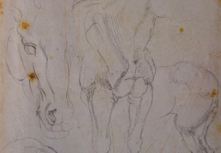 I singolari studi per un&nbsp;cavallo