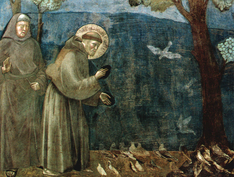 Le storie di San Francesco di Giotto nel documentario di Zeffirelli