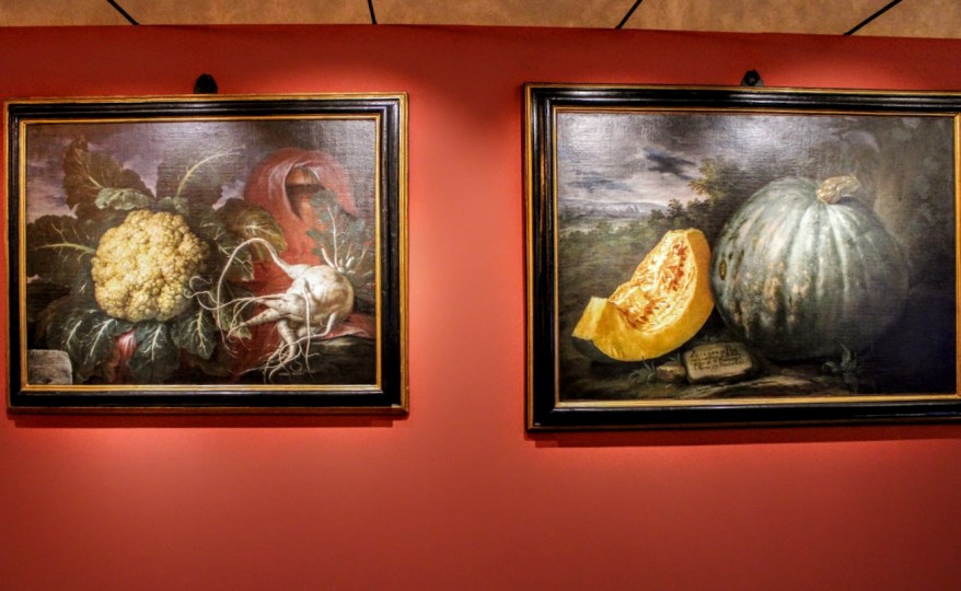 Natura Collecta, Natura Exhibita: la mostra e il tour&nbsp;virtuale