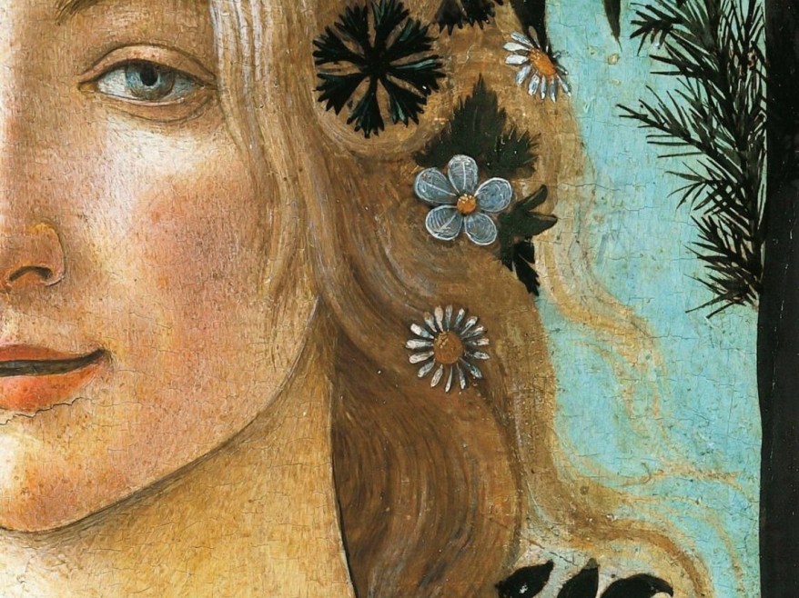 La Primavera del Botticelli: fiori, frutti e piante