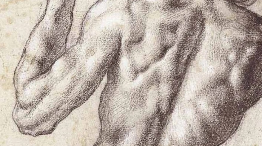 Quando Giuliano de’ Medici volle a casa sua il cartone della Battaglia di&nbsp;Cascina