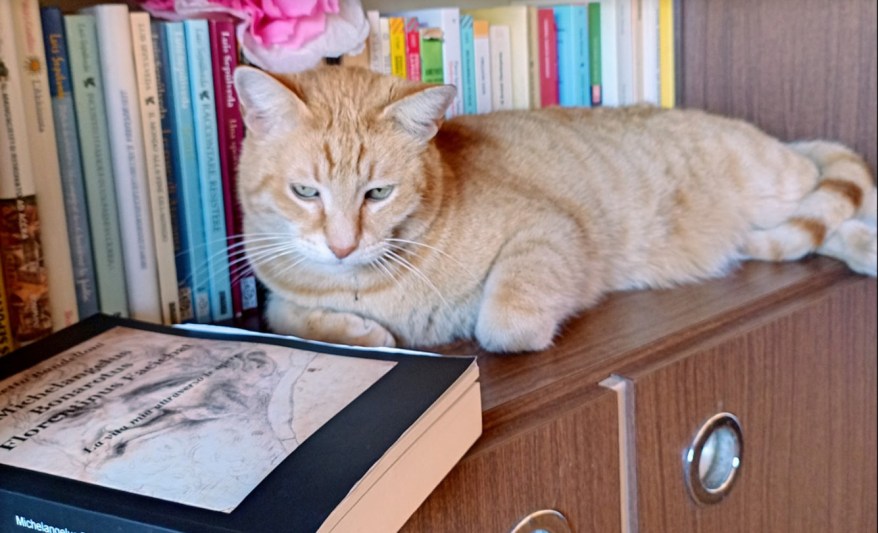 Agosto 2023: i libri d’arte di uscita recente da&nbsp;leggere