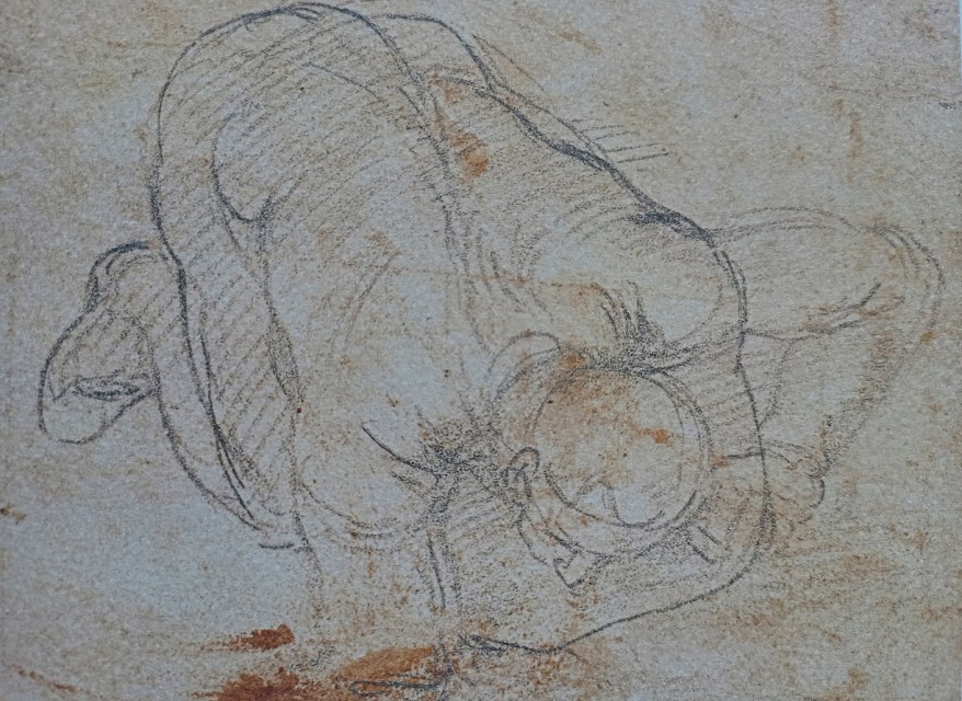 Lo studio di un uomo per due miei&nbsp;affreschi