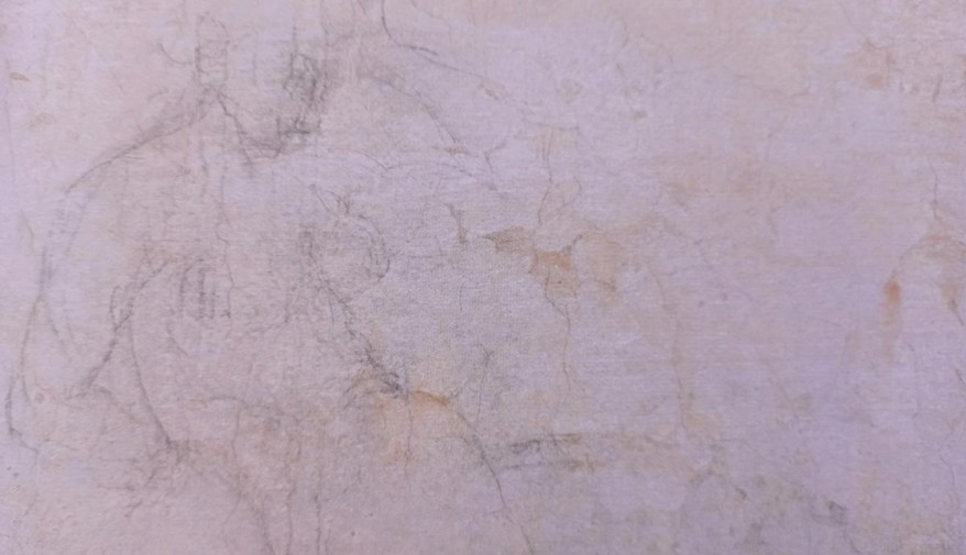 Lo studio per la Leda perduta sulle pareti della Stanza&nbsp;Segreta