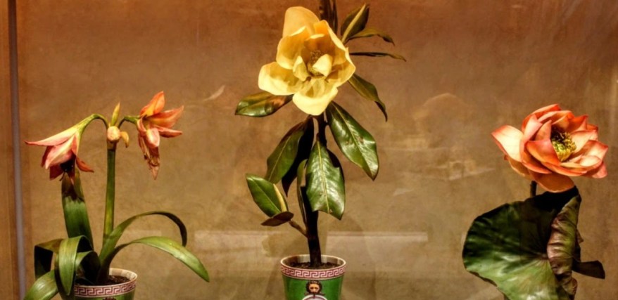 Museo della Specola: riaprirà al pubblico il 21 febbraio&nbsp;2024