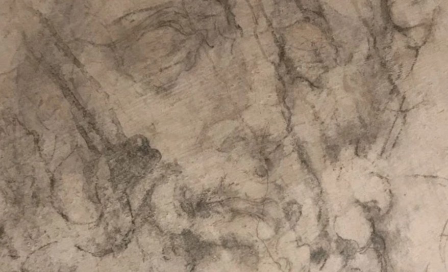 Stanza Segreta: lo studio della testa del Laocoonte per il San&nbsp;Cosma