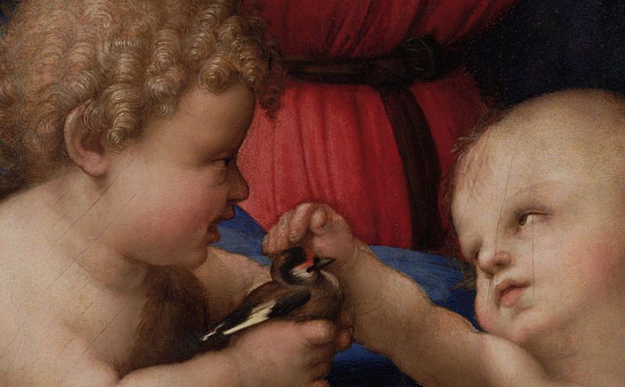 La Madonna del Cardellino di Raffaello: un’opera in&nbsp;frantumi