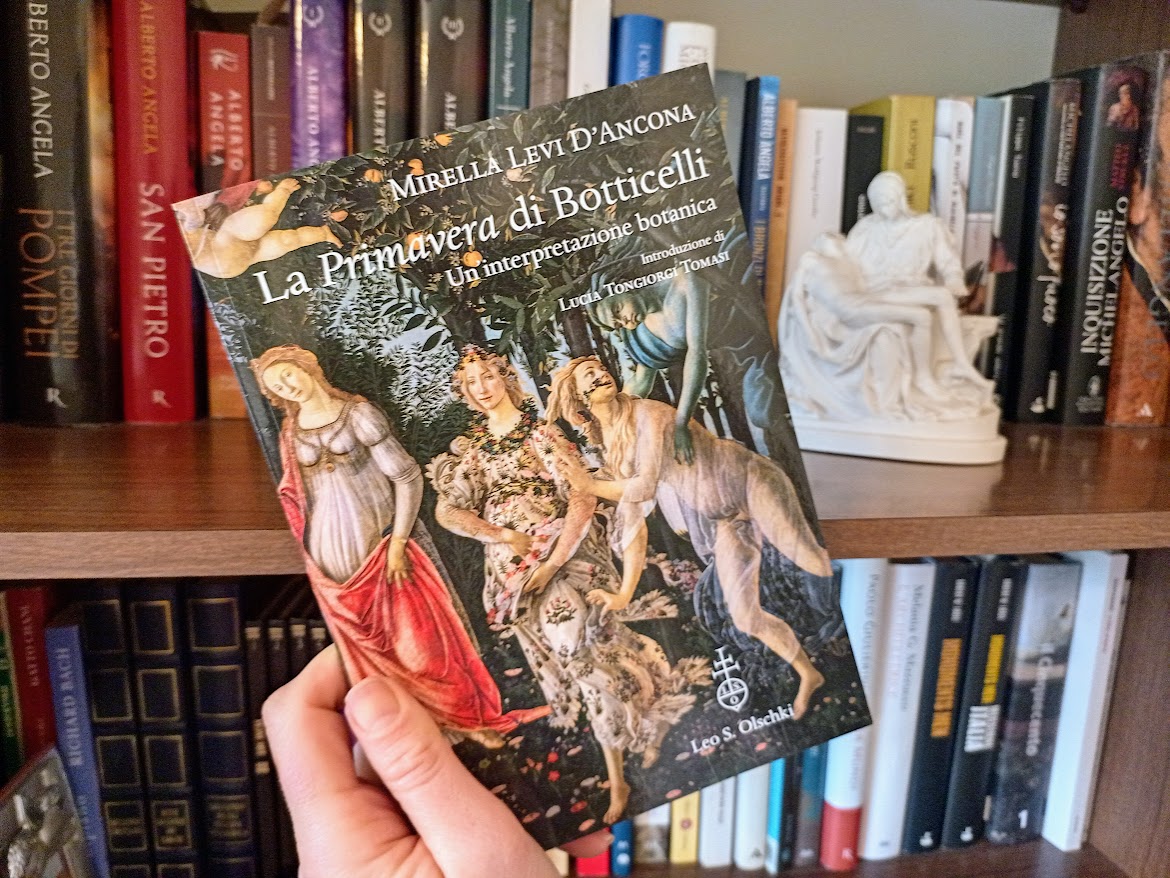 La maestra Linda: Libro primavera, image size:1170x878