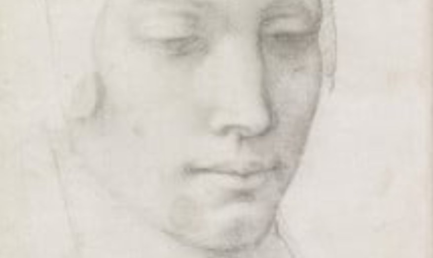 Lo studio per la Testa della Vergine con quel corpicapo che somiglia a un elmo&nbsp;esotico